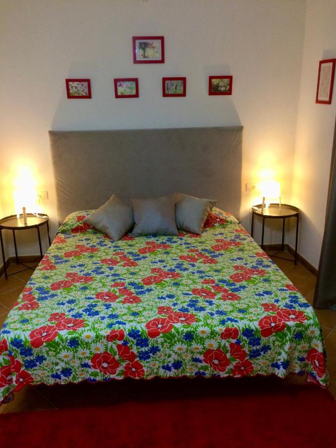 Guesthouse Villa Rosa Μπεράτ Εξωτερικό φωτογραφία